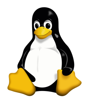 Linux is Free?! Can I Use It In My Business To Save Money?? post thumbnail